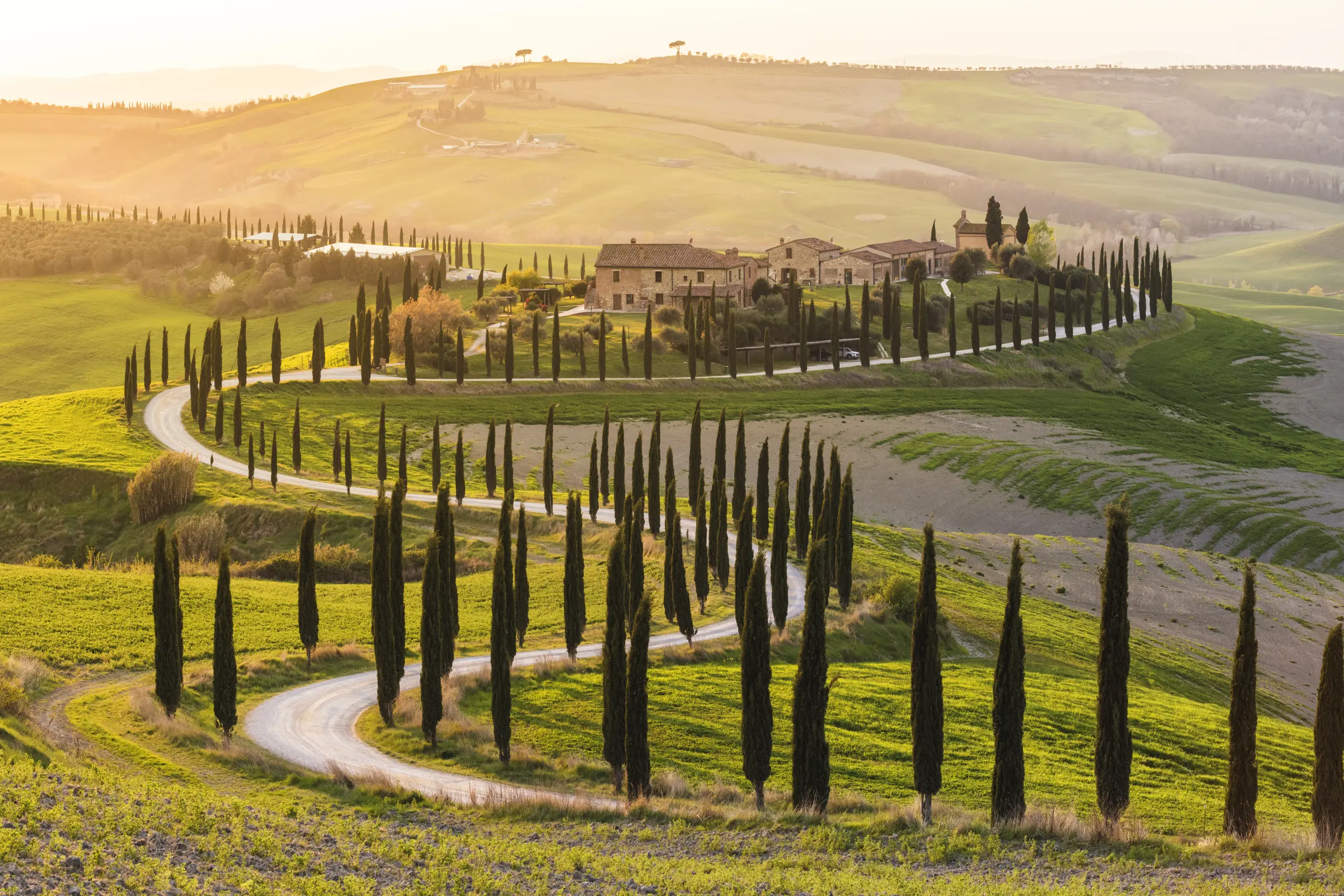 day-hero-road-of-cypresses-in-a-farmhouse-tuscany-italy.webp