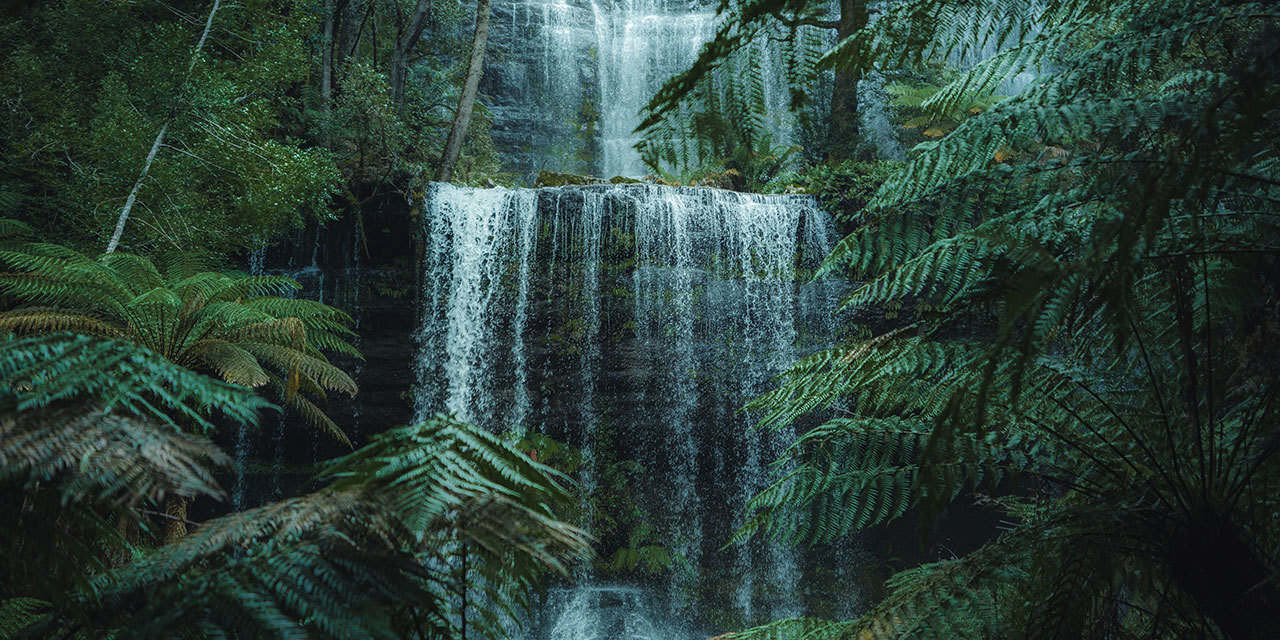 russell-falls-credit-jason-charles-hill-day-3.jpg