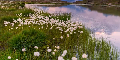 Switzerland and Austria Guided Tour