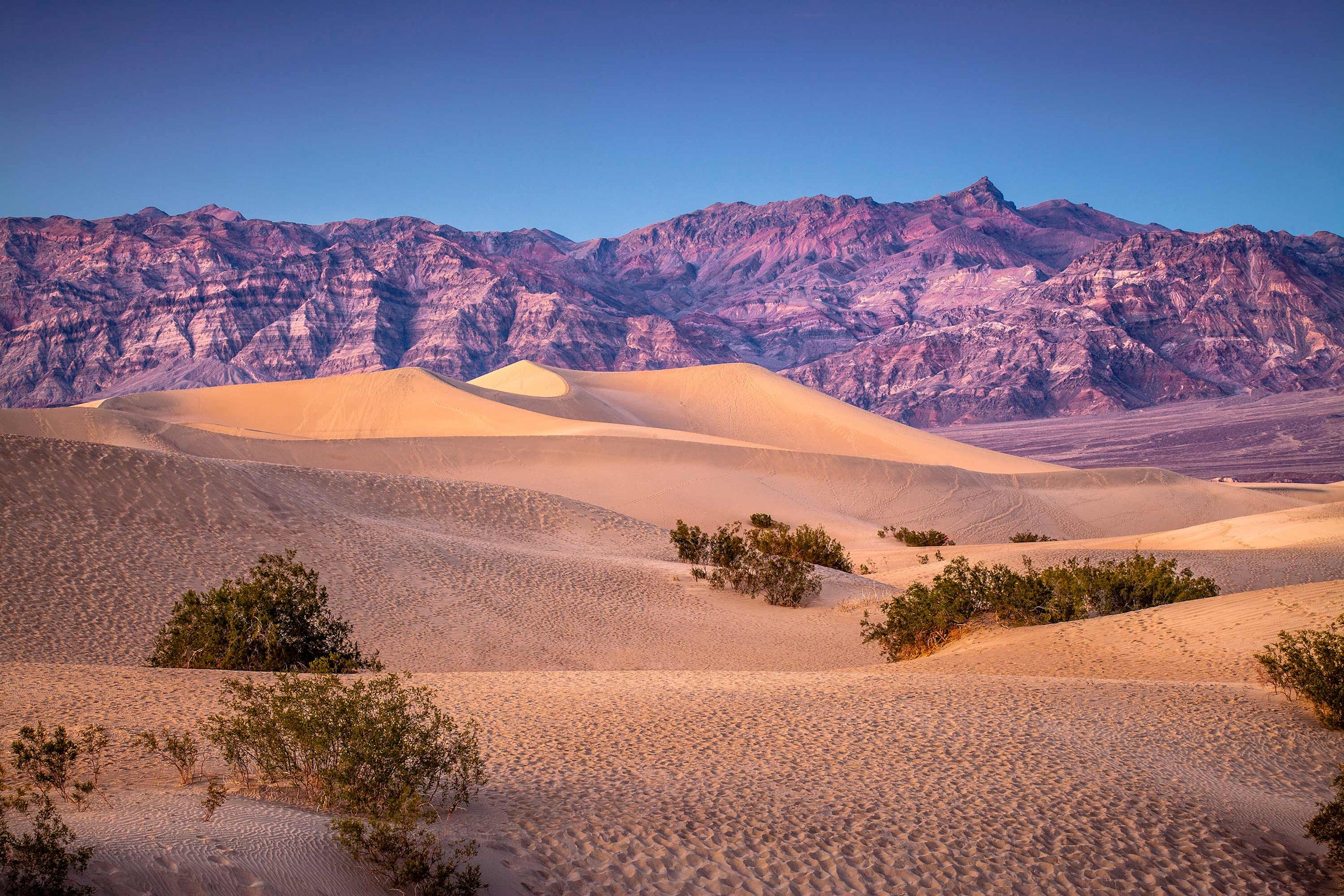 Americas Great Desert National Parks Tour 2025 Trafalgar