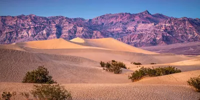 Americas Great Desert National Parks Guided Tour