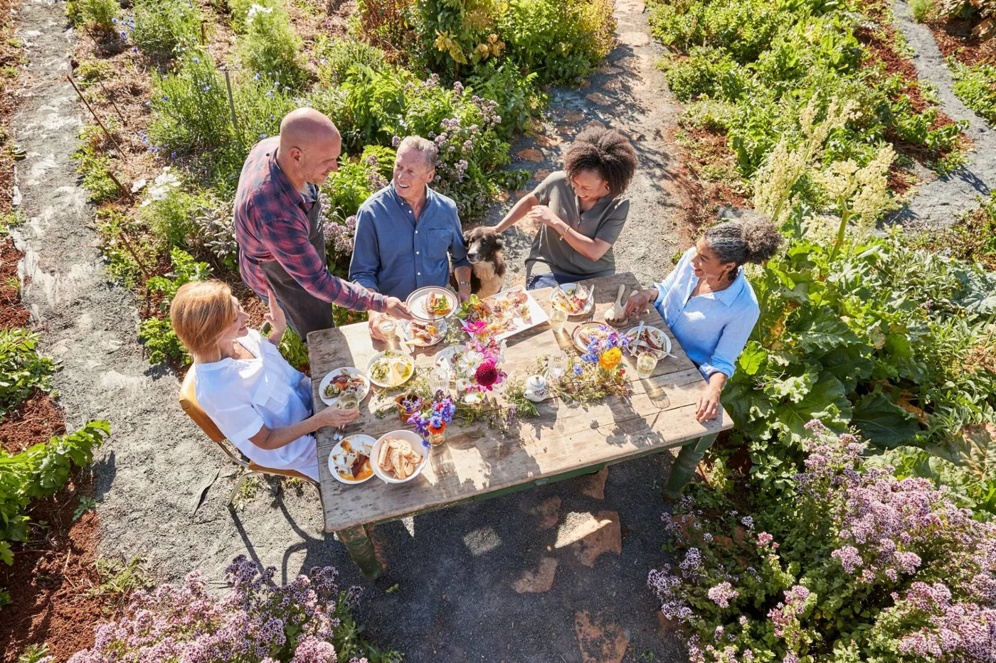 Dining on Mount Gnomon Farm with Guy Robertson in Tasmania, Australia