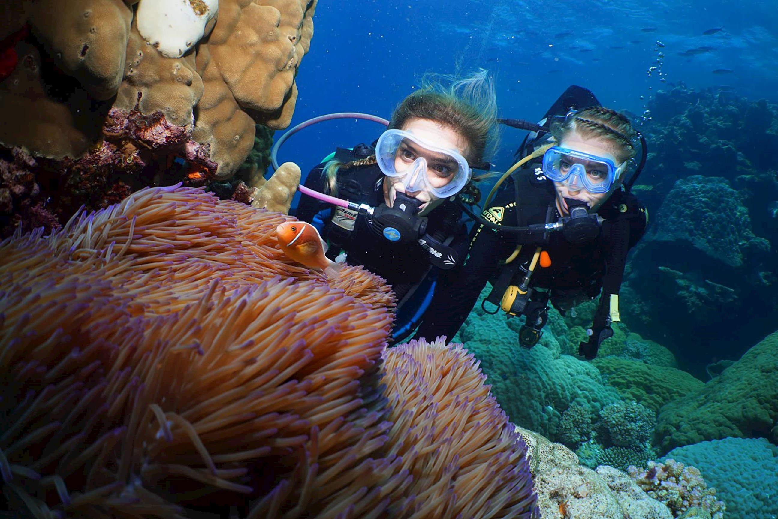 Enjoy an introductory dive in Cairns, Australia