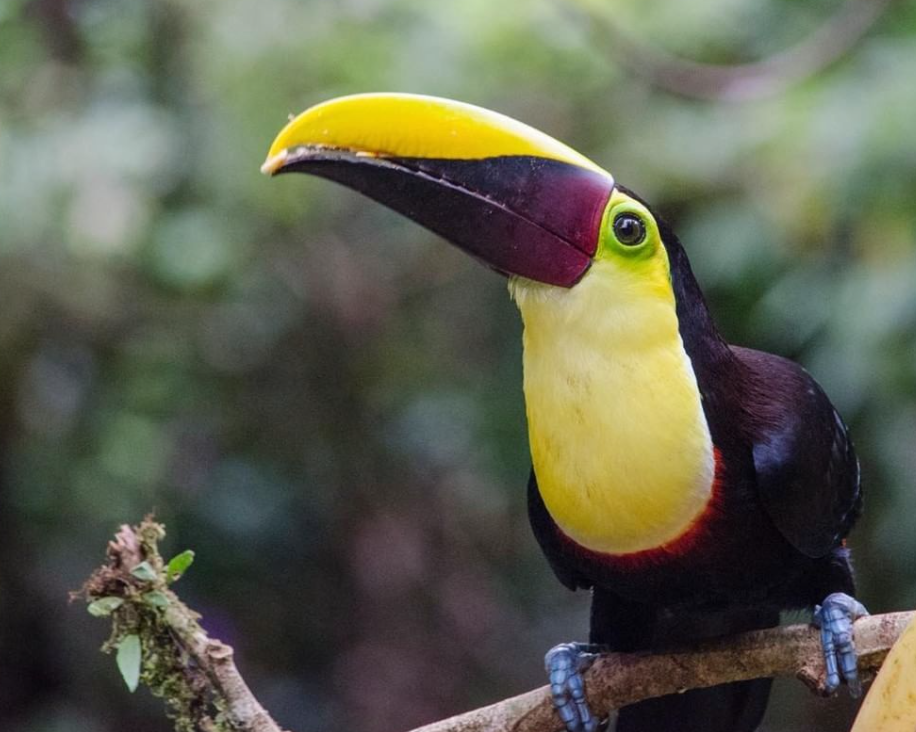 Costa Rica Family Vacation