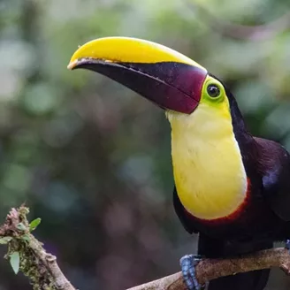 Costa Rica Family Vacation