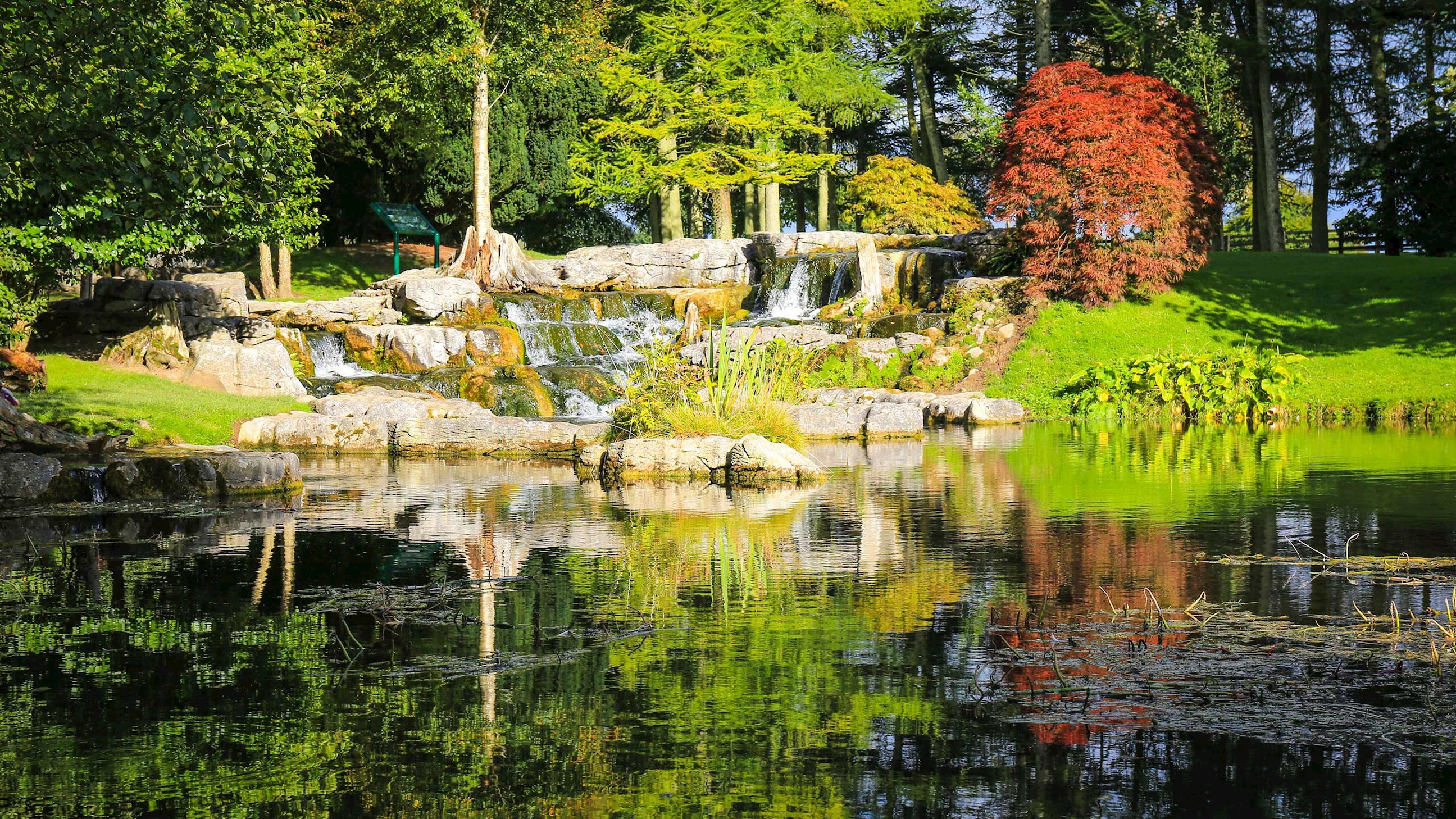 japanese-gardens-kildare-ireland.jpg