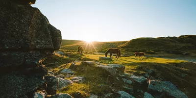 Best of Devon and Cornwall Guided Tour