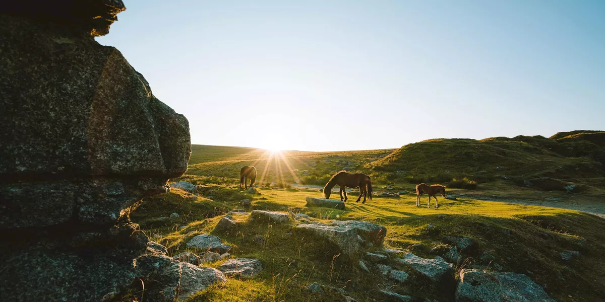 Best of Devon and Cornwall Guided Tour