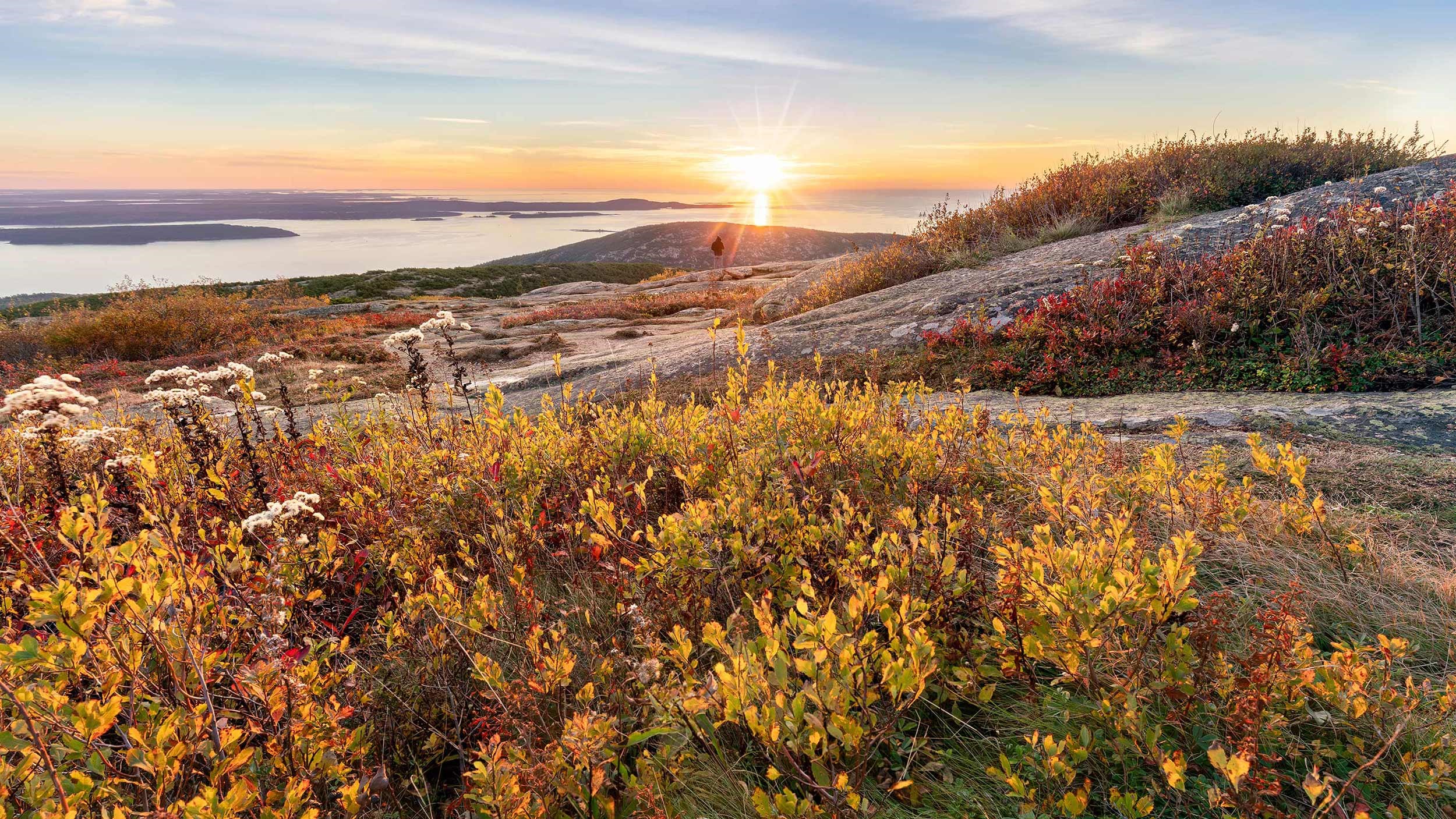 view-acadia-national-park-usa.jpg
