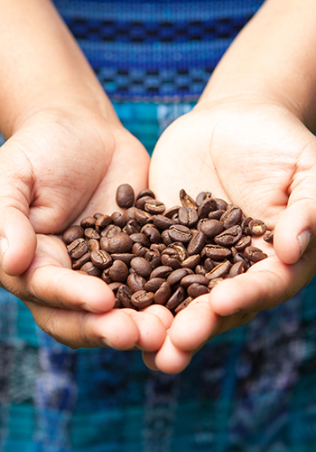 Costa Rica Drink Coffee Beans 185018081 GE Nov22 350X500