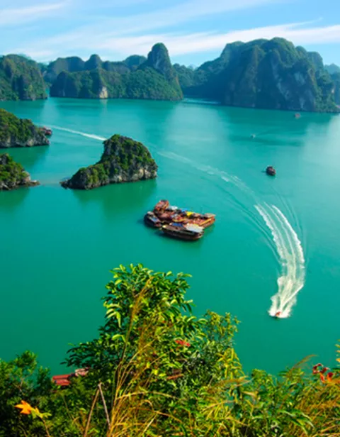 Sailing in an Asian bay