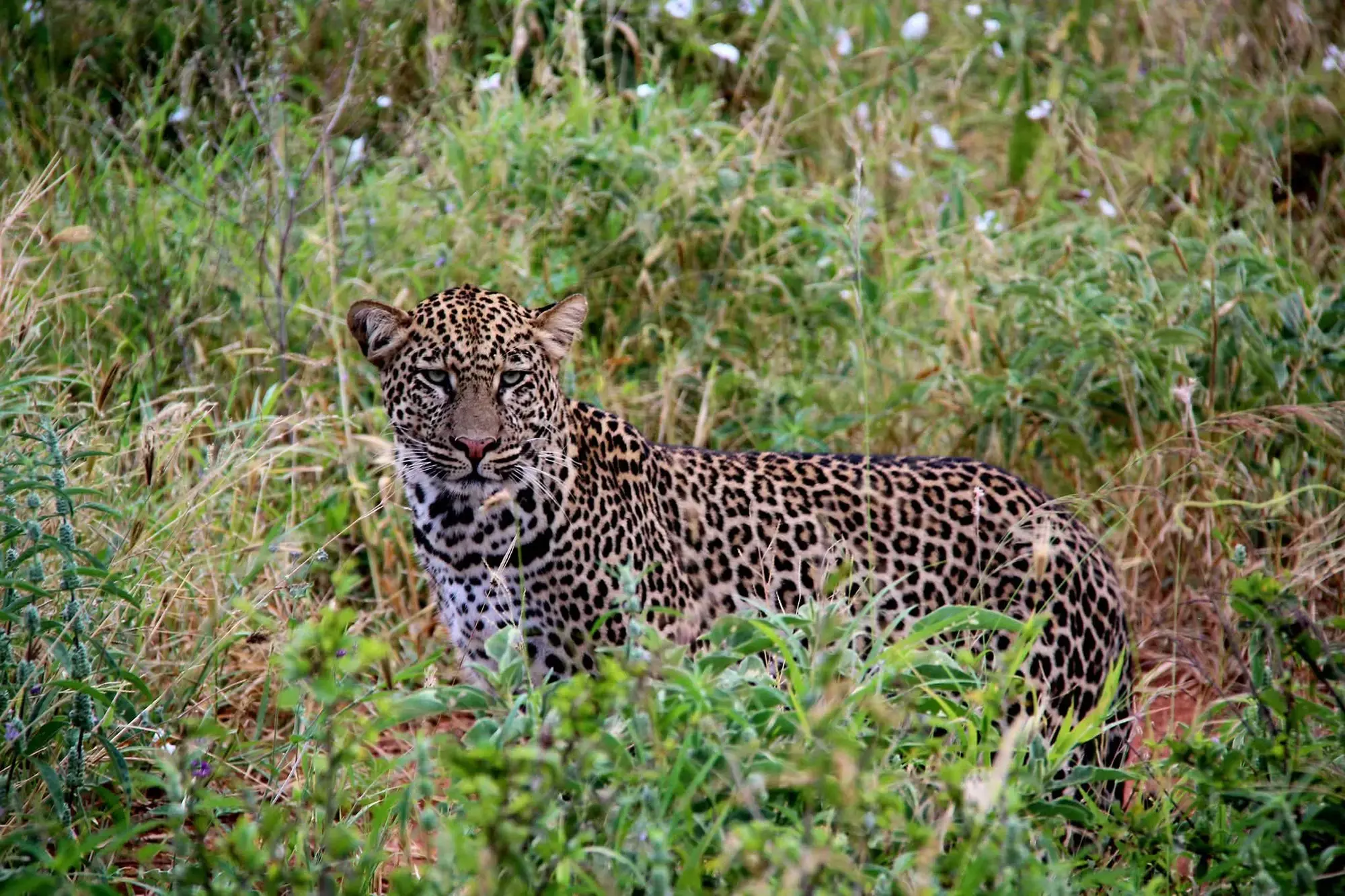 day-3-tarangire-tanzania.webp