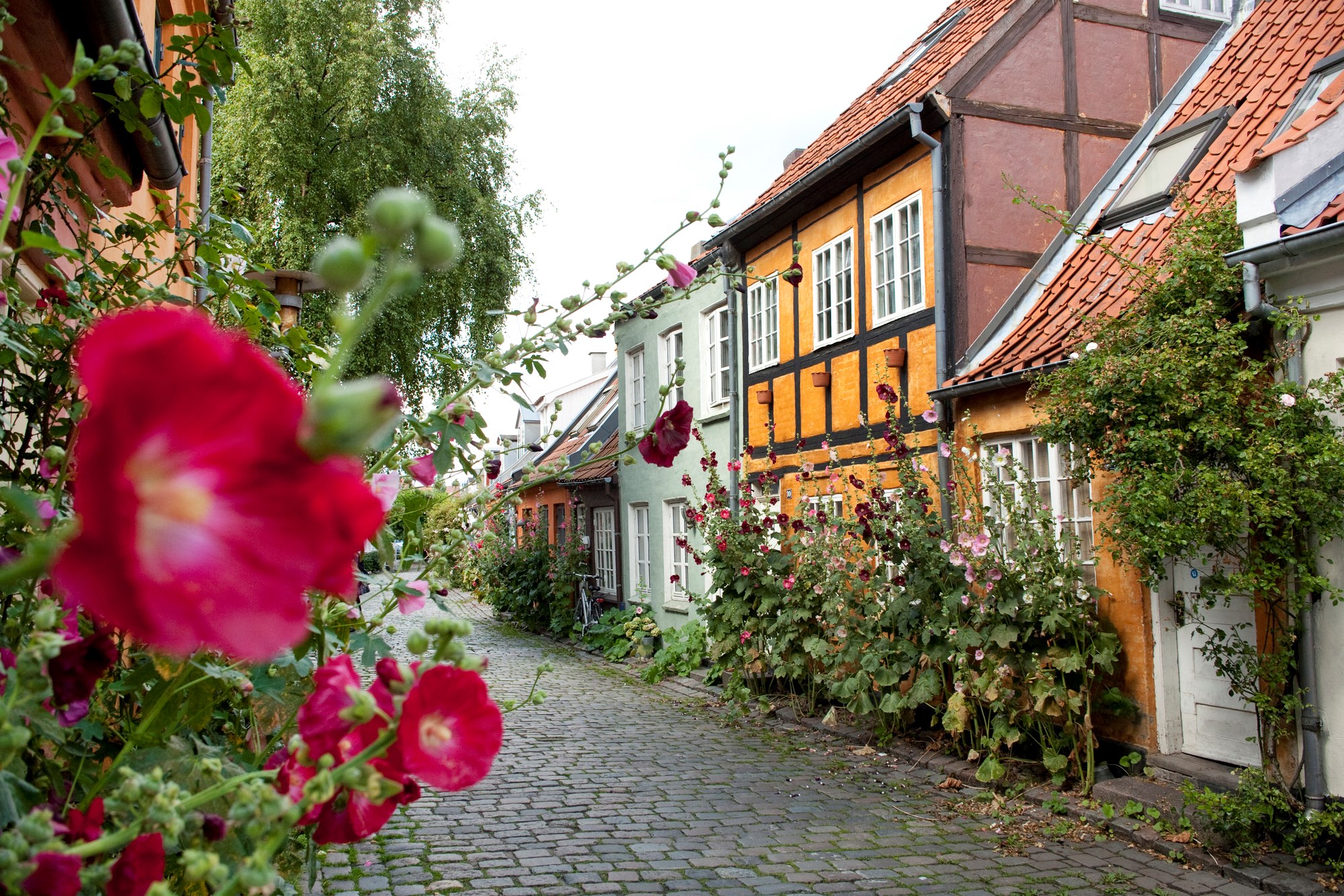 colourful-houses-aarhus-denmark.jpg