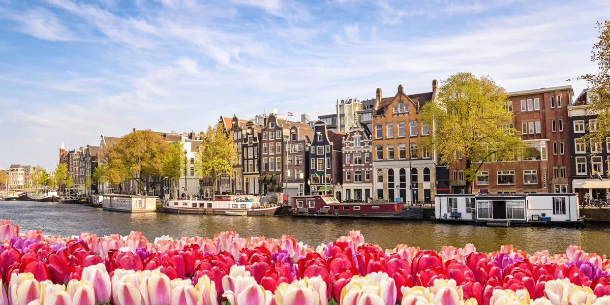 Amsterdam's iconic townhouses with colourful tulips in the foreground