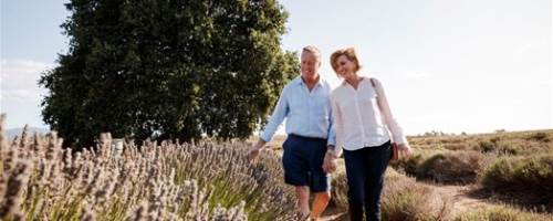 Twitterdic Australia Tasmania Bridestowe Lavender Farm TT 500X200