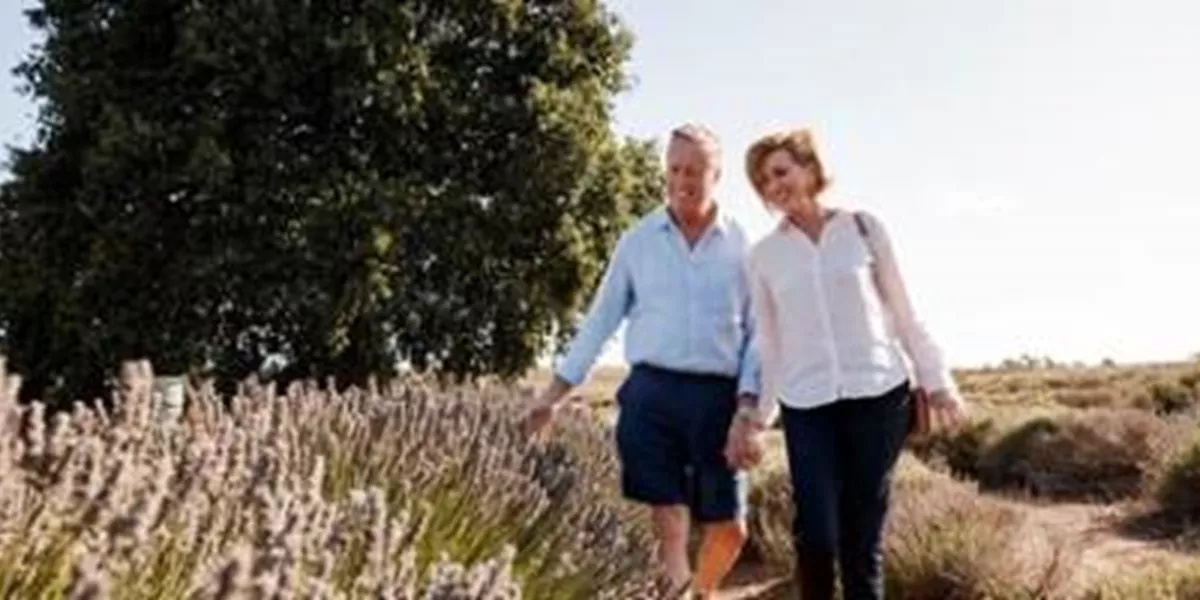 Twitterdic Australia Tasmania Bridestowe Lavender Farm TT 500X200