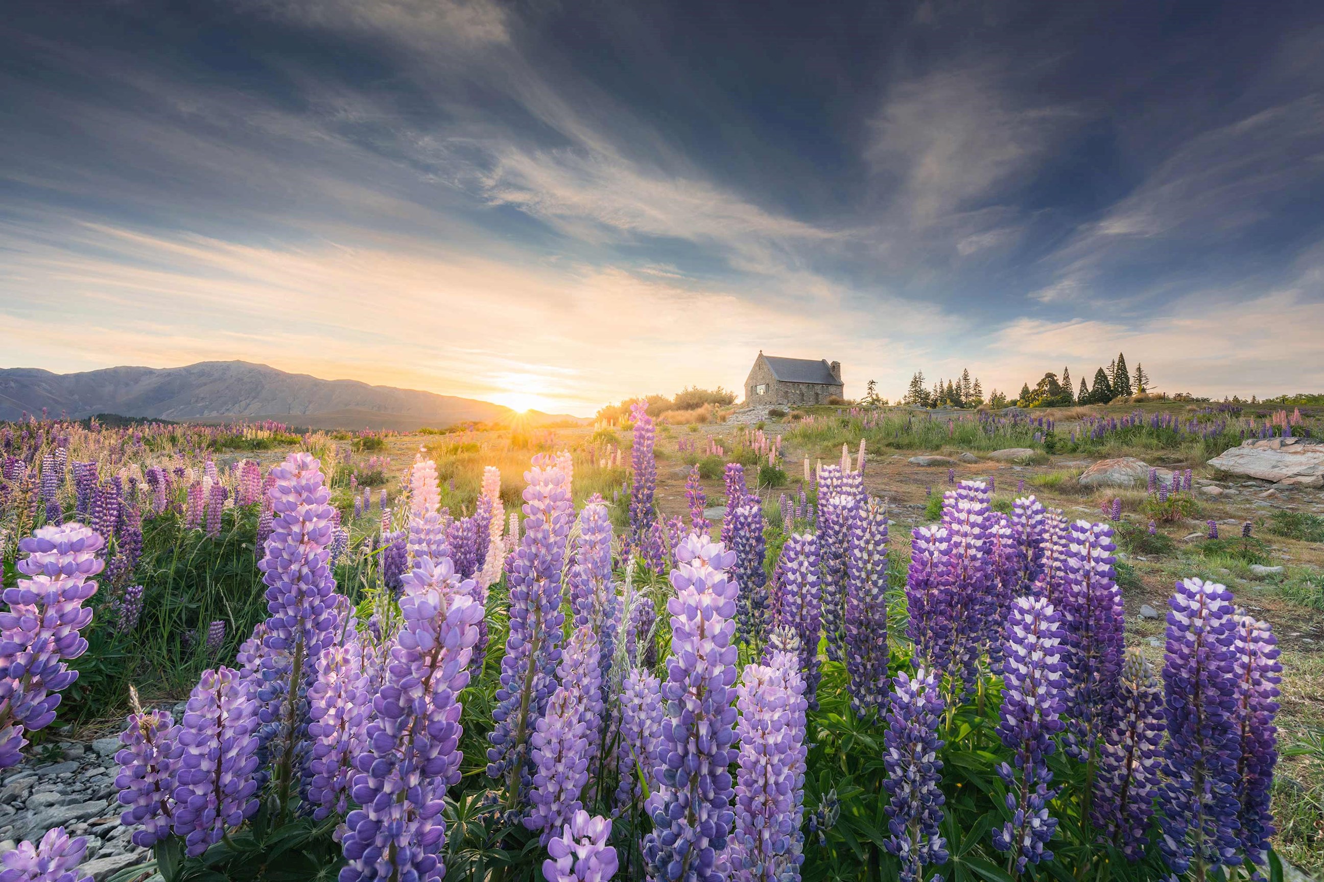 Church of the Good Shepherd Tekapo
