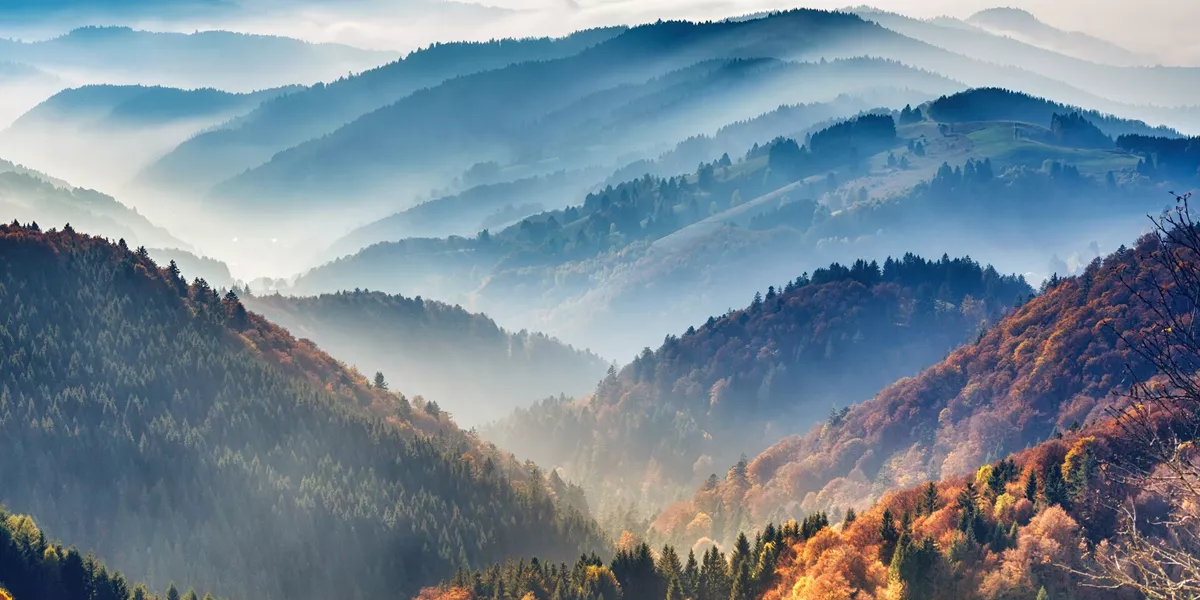 The misty Black Forest in Germany