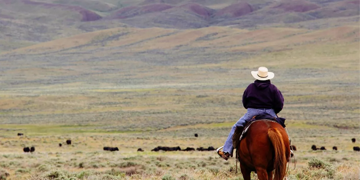 Horse Rider Plains Montana