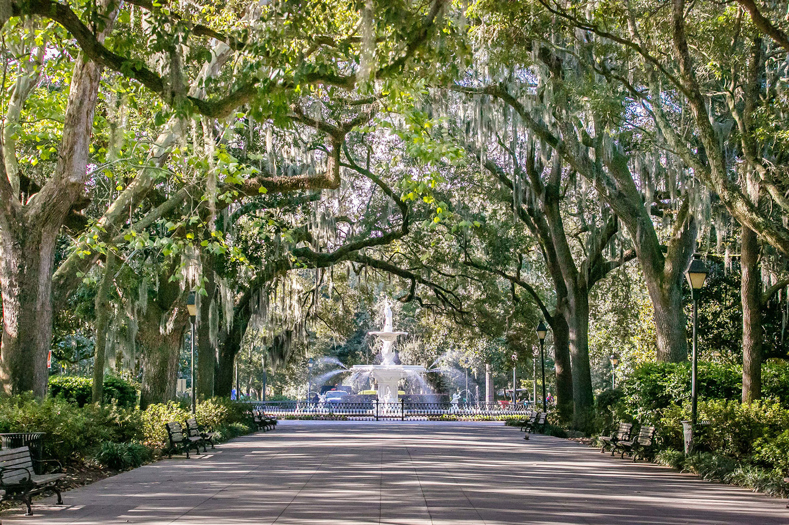 Charms of Southeast USA Guided Tour