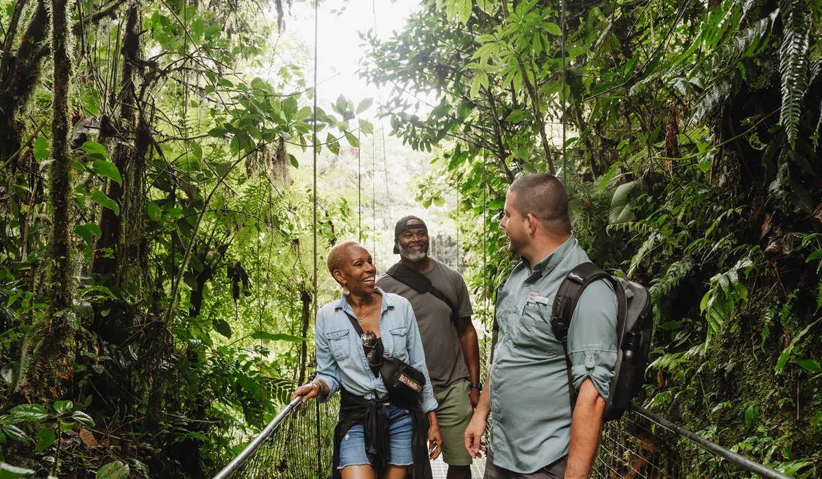 Group Of People Walking Across A Bridge In The Jungle