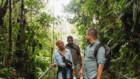Group Of People Walking Across A Bridge In The Jungle