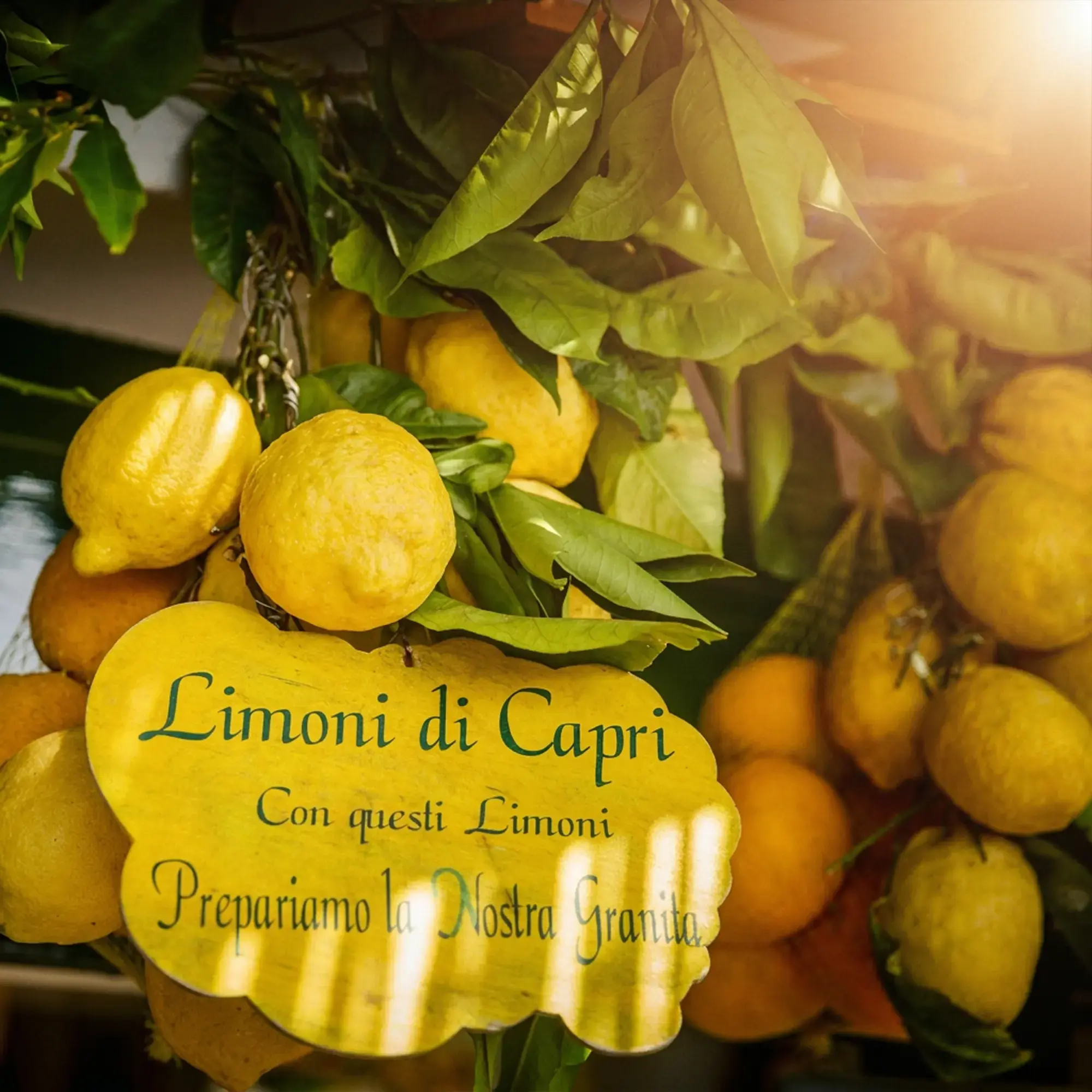 day-hero-lemons-capri-island-italy.webp