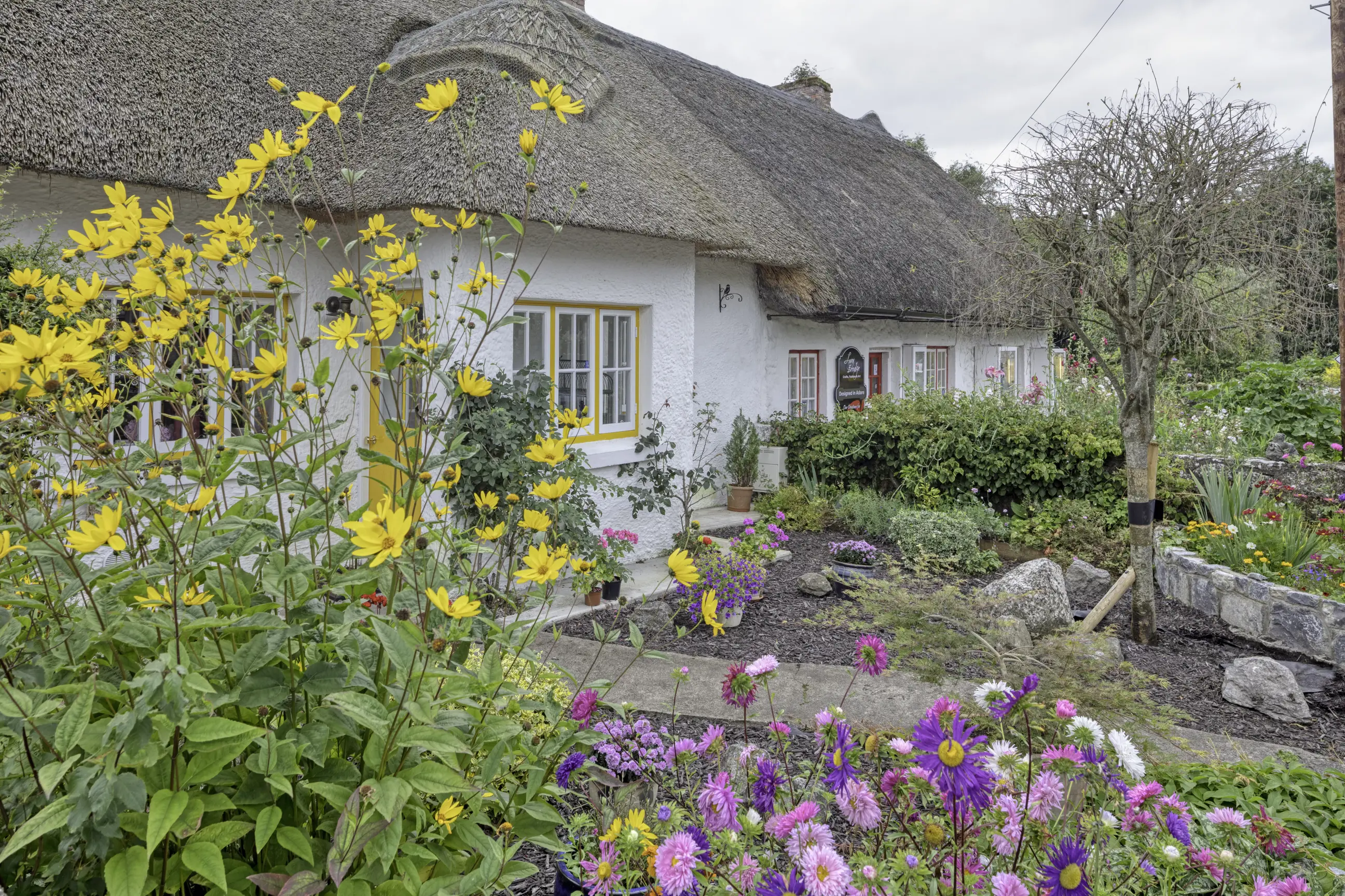 day-hero-traditional-thatched-cottages-adare-ireland-1203604317.webp