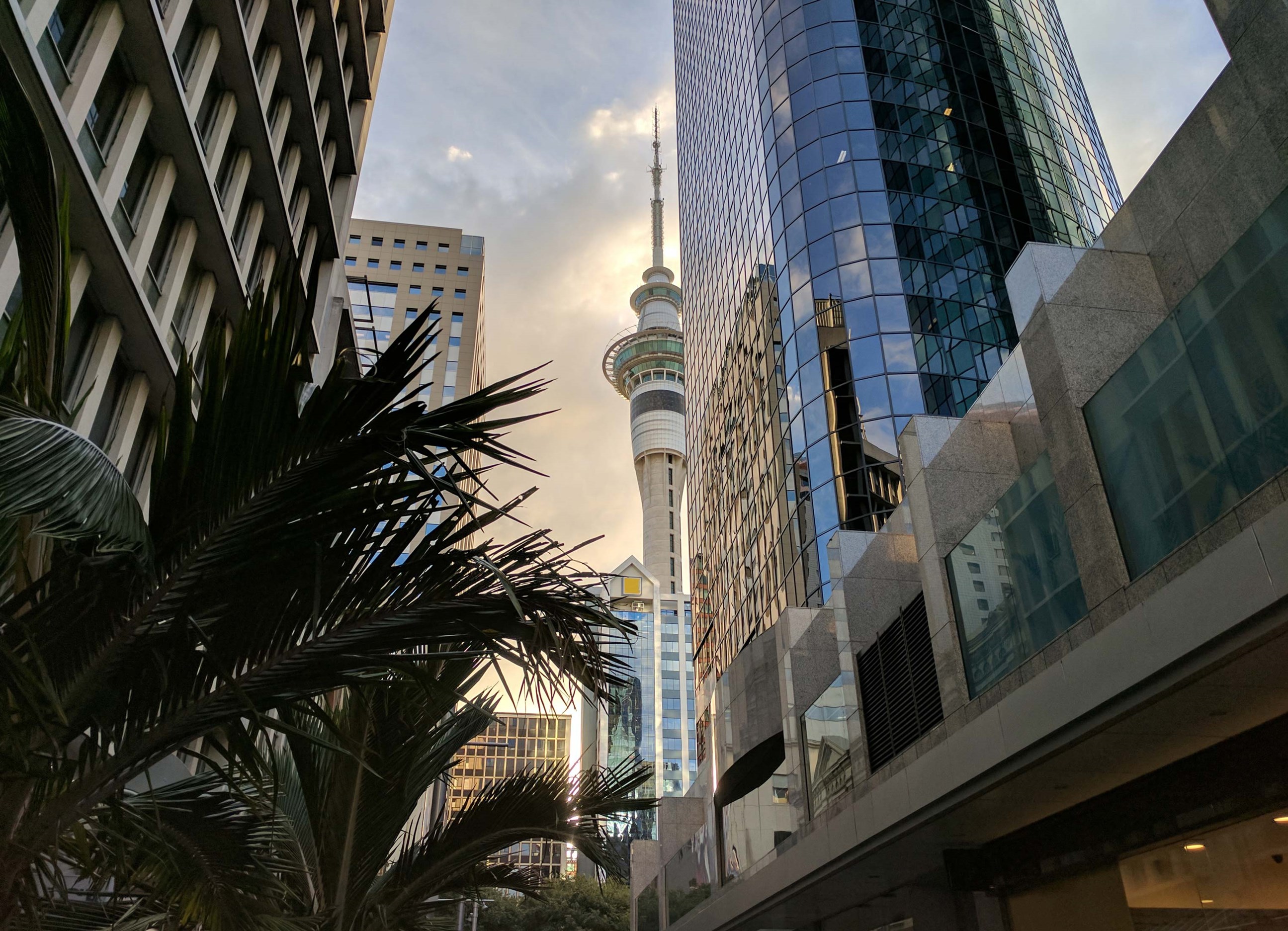 sky-tower-buildings-auckland-new-zealand.jpg