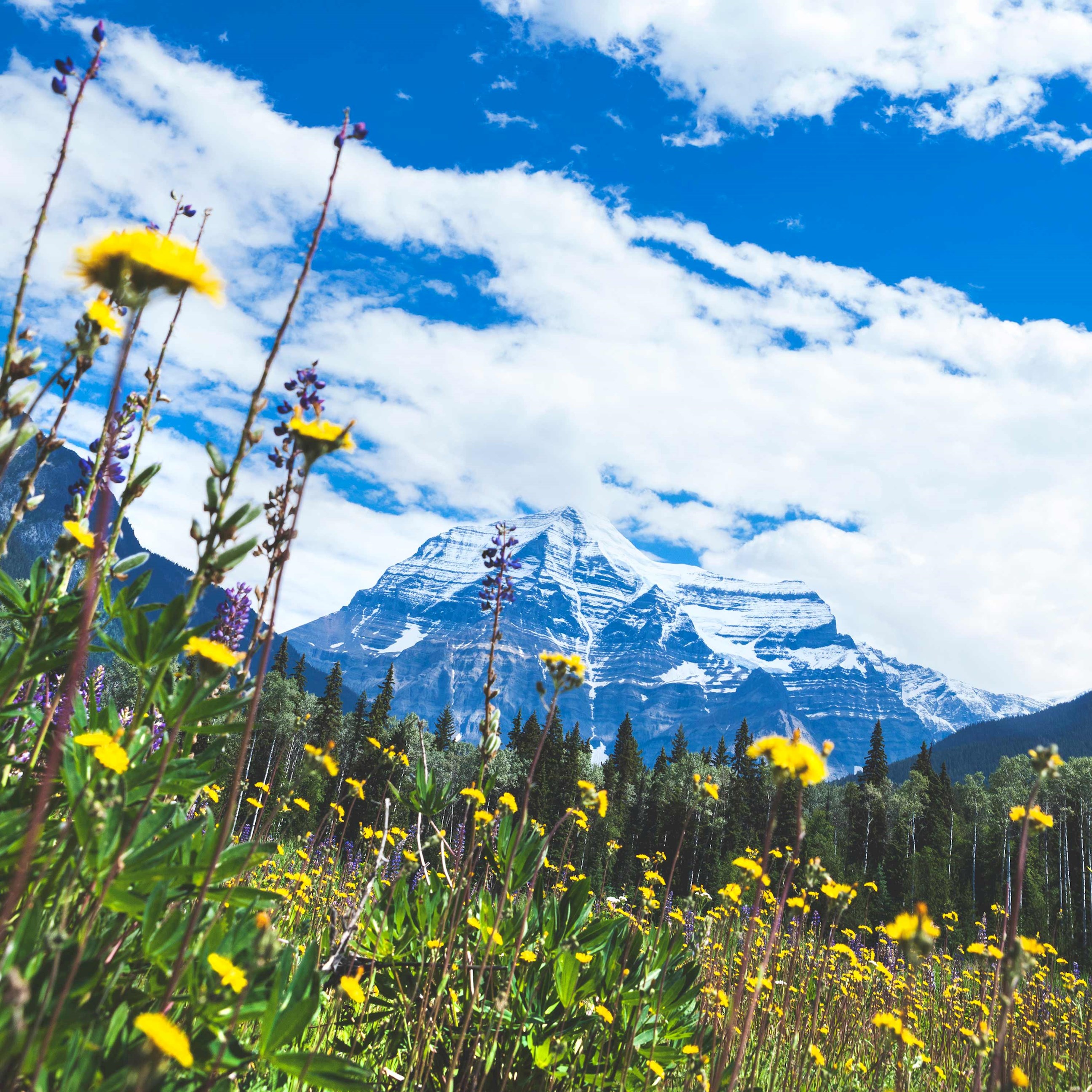 trafalgar tours canadian rockies