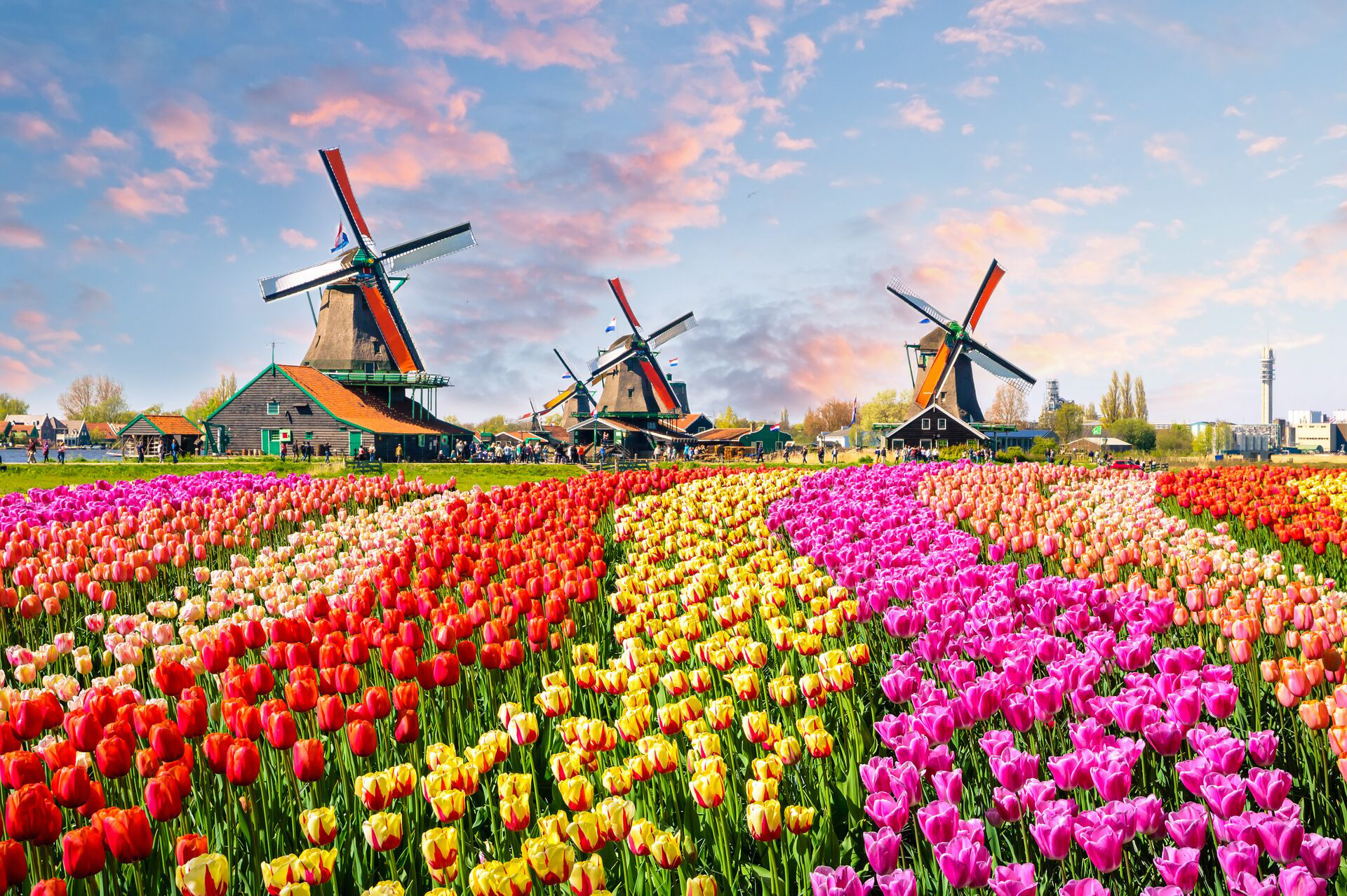 Traditional Dutch windmills and houses near the canal in Zaanstad Village, Zaanse Schans, the Netherlands