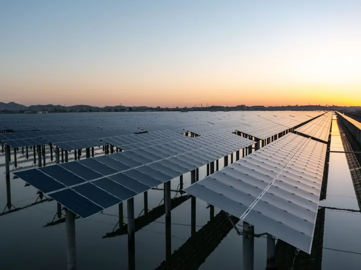 Rows of solar panels of power plant during sunset