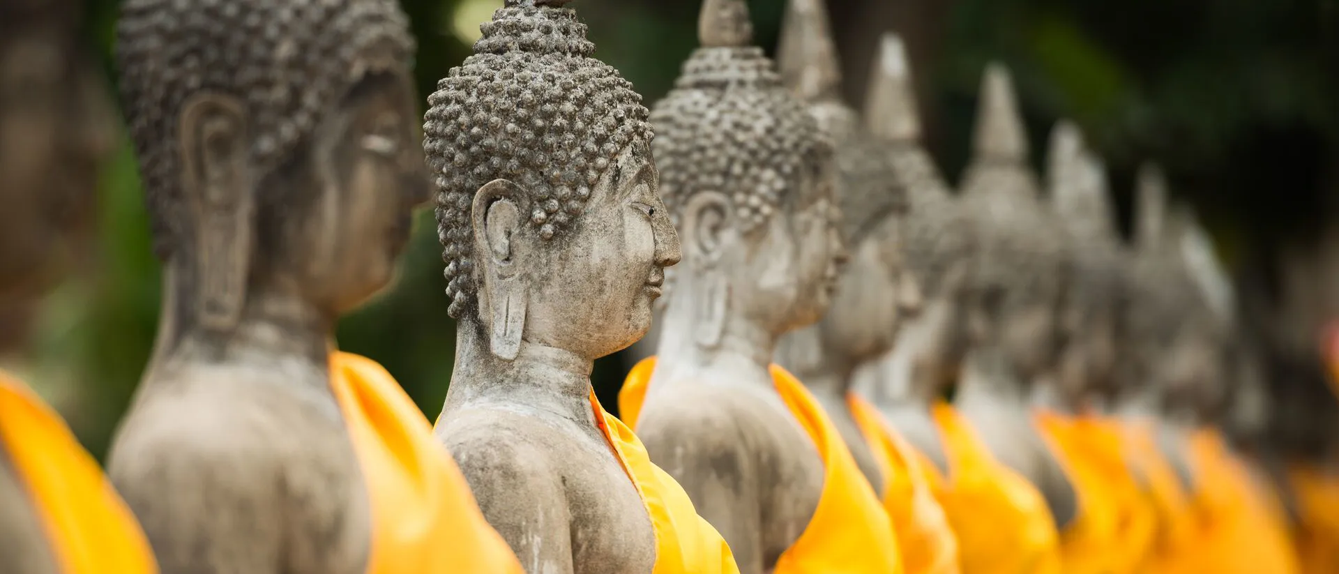 Old Buddha Statue at Ayutthaya Temple in Thailand