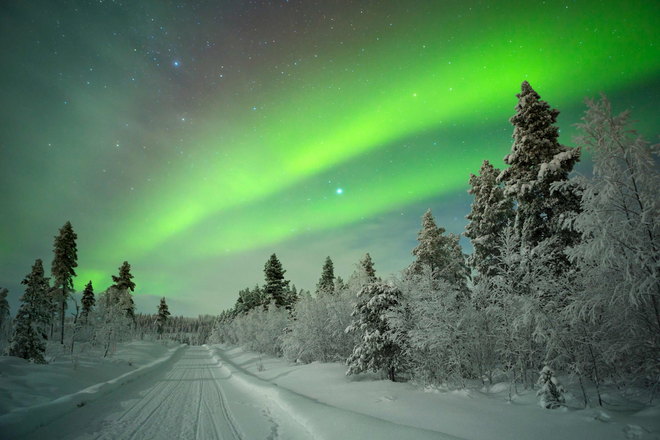 see-the-northern-lights-aurora-borealis-in-saariselka-finland.jpg