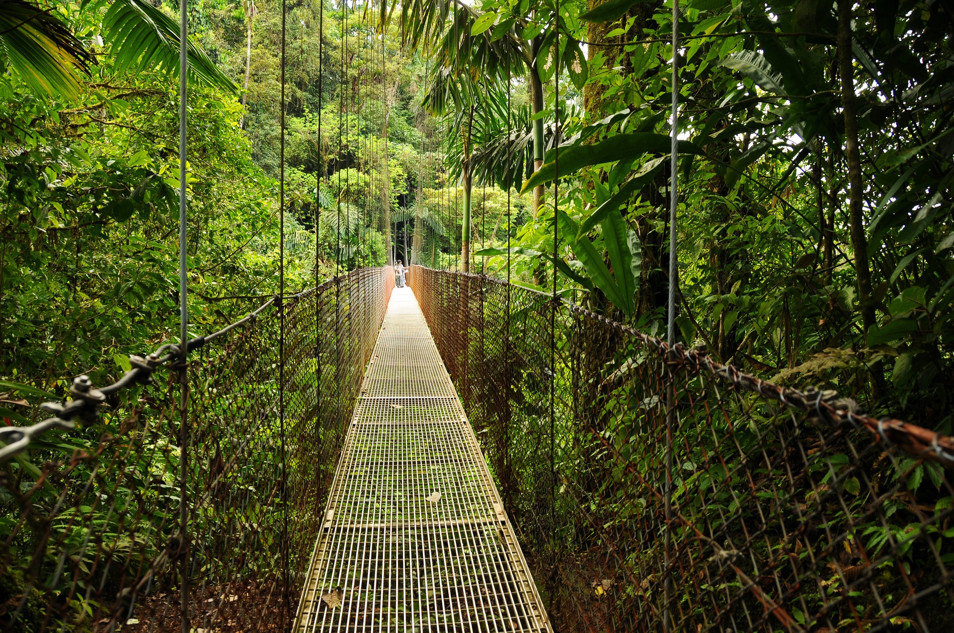 hanging-bridges-in-costa-rica-s-arenal-national-park.jpeg