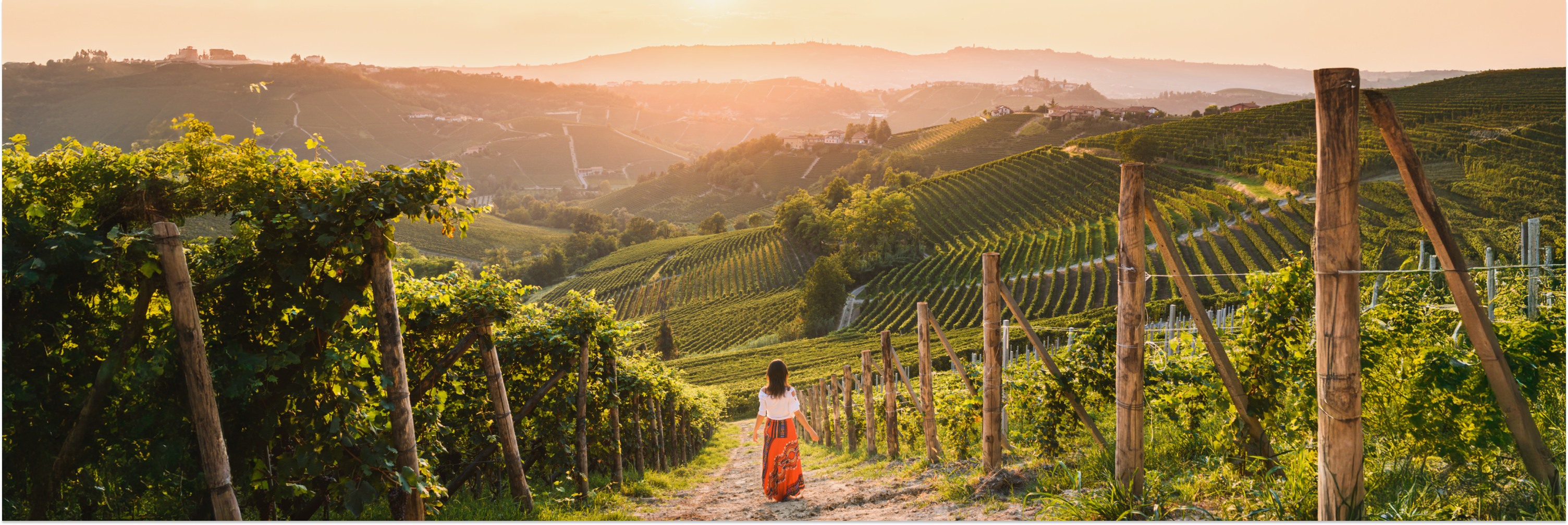 A woman walks down a vineyard on a hillside in Italy