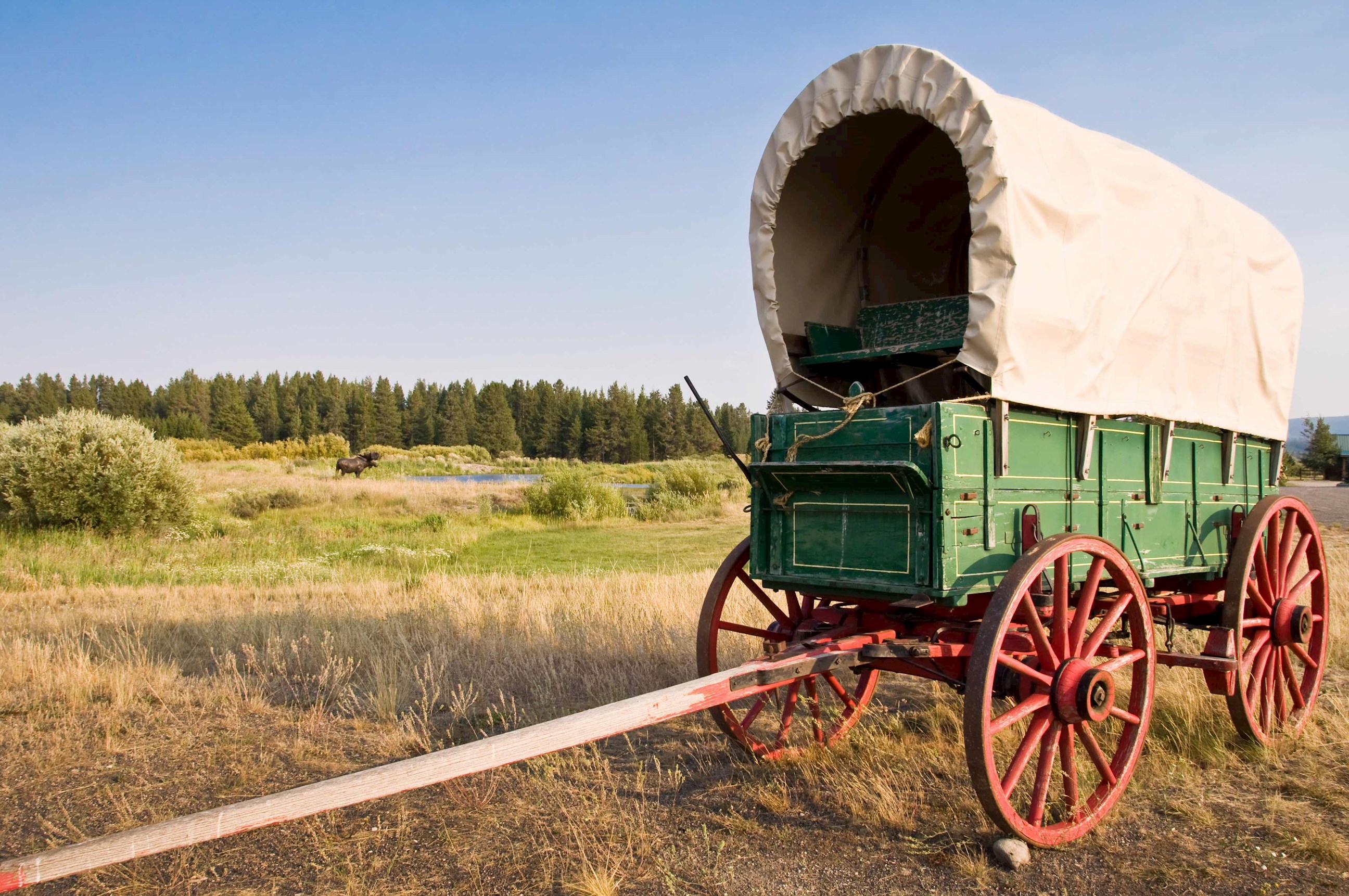 travel-by-a-horse-drawn-covered-wagon-to-cache-creek-canyon-for-a-cookout-and-show-usa.jpg
