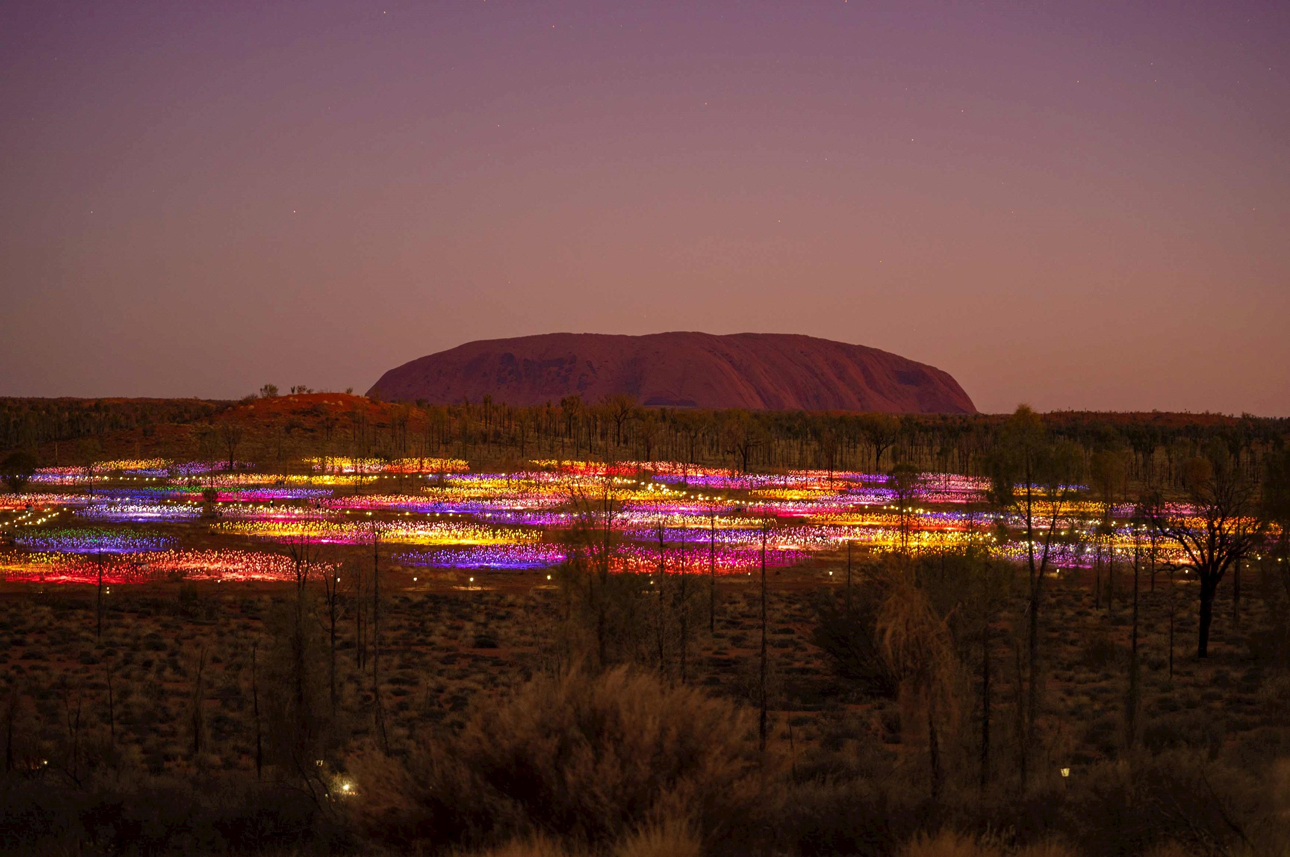 Watch the Field of Light sunrise in Uluru, Australia