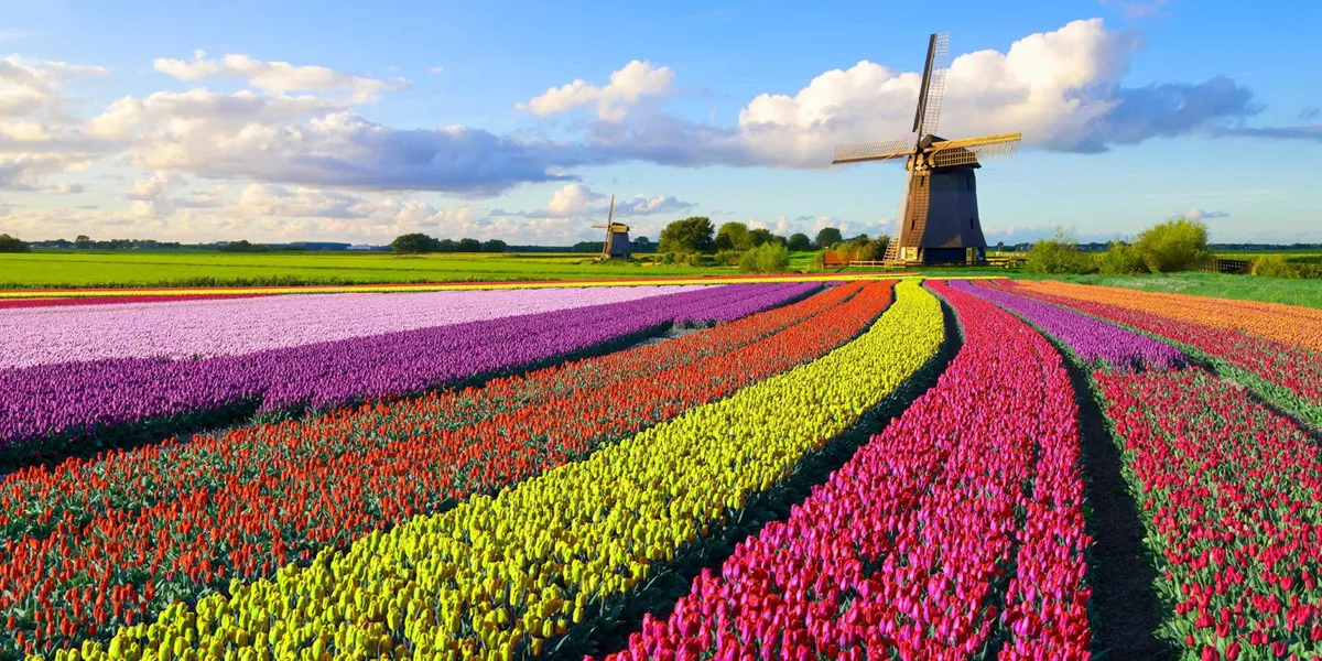 Best Holland Guided Tour 1