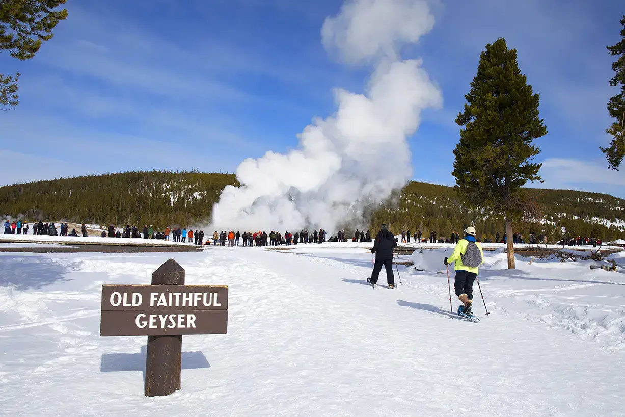 day-4-old-faithful-geyser-yellowstone-wyoming-usa-gettyimages-1473071356.webp