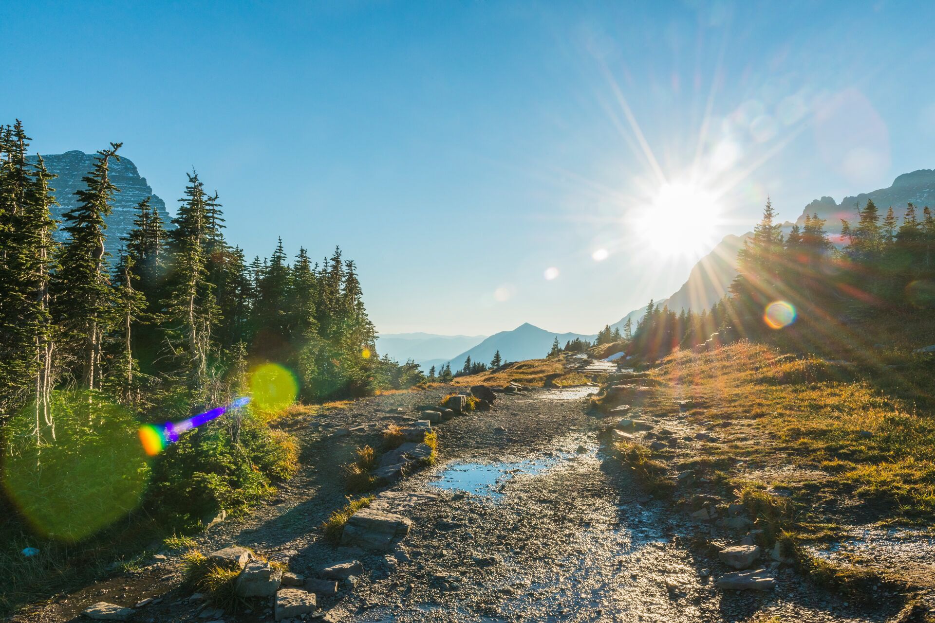 Montana Glacier National Park Hiking Trail