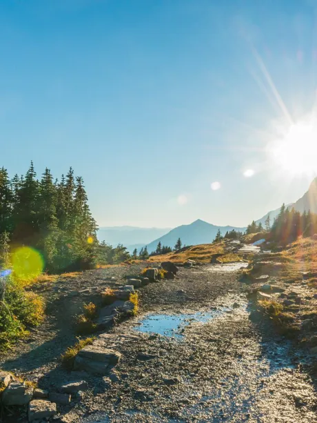 Montana Glacier National Park Hiking Trail