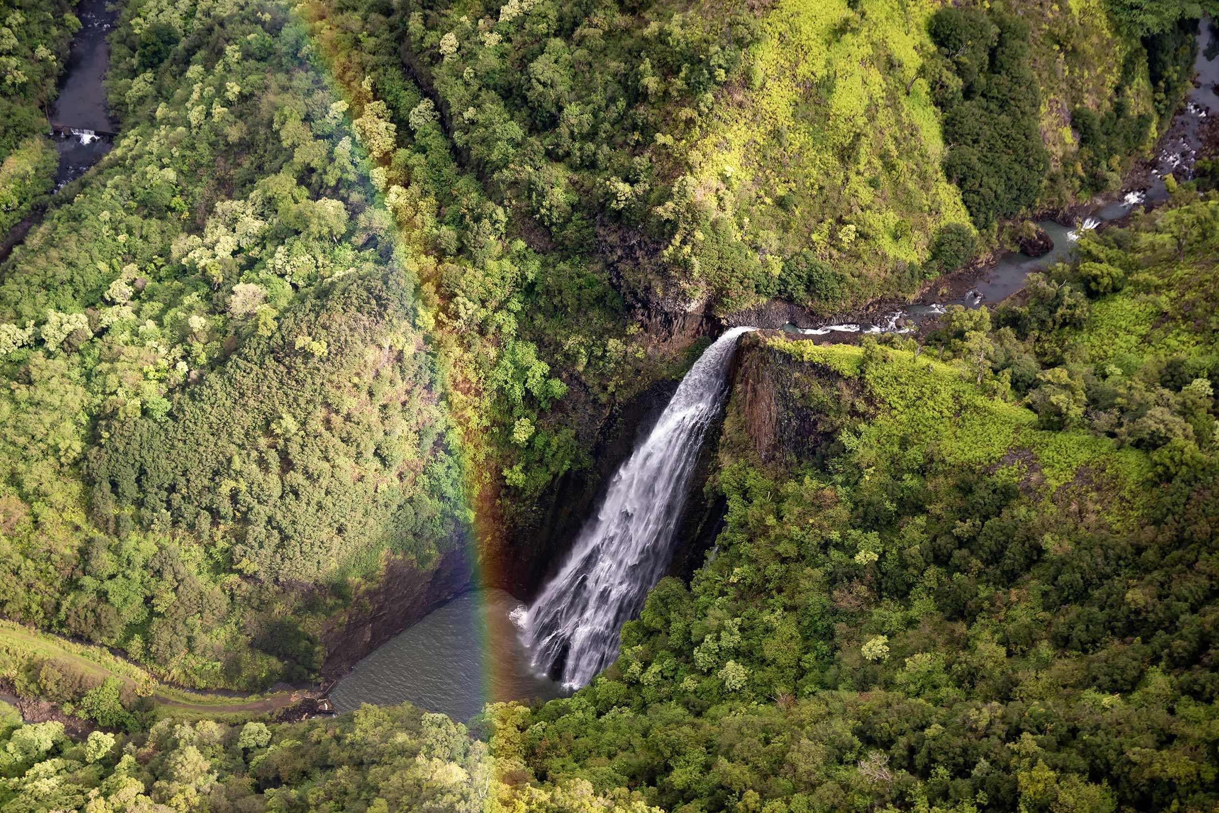 view-manawaiopuna-falls-hawaii.jpg