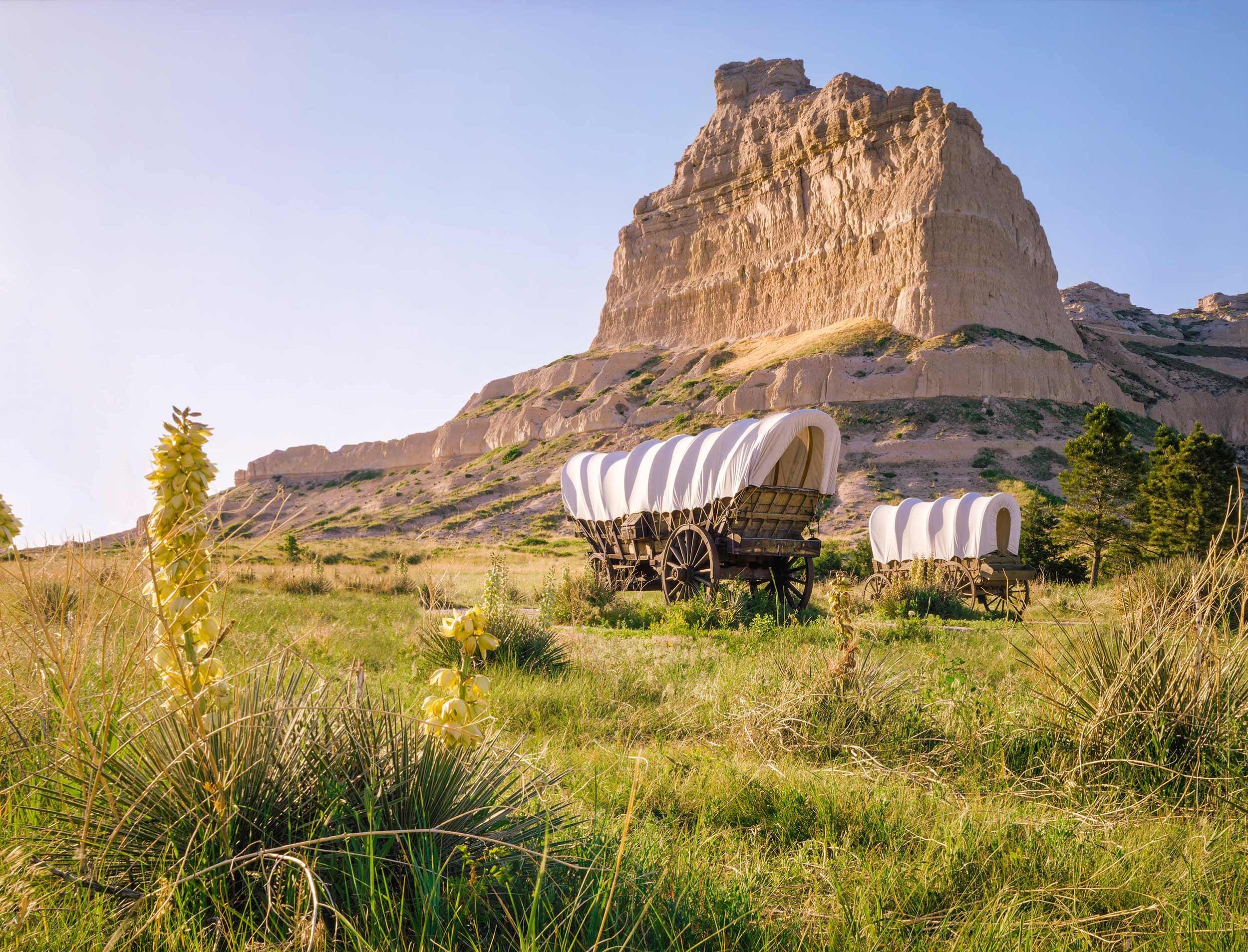 wagons-oregon-trail-usa.jpg