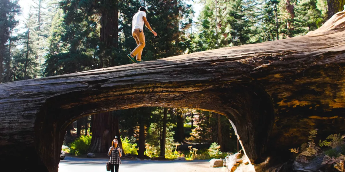 Bridge Footpath Usa National Park