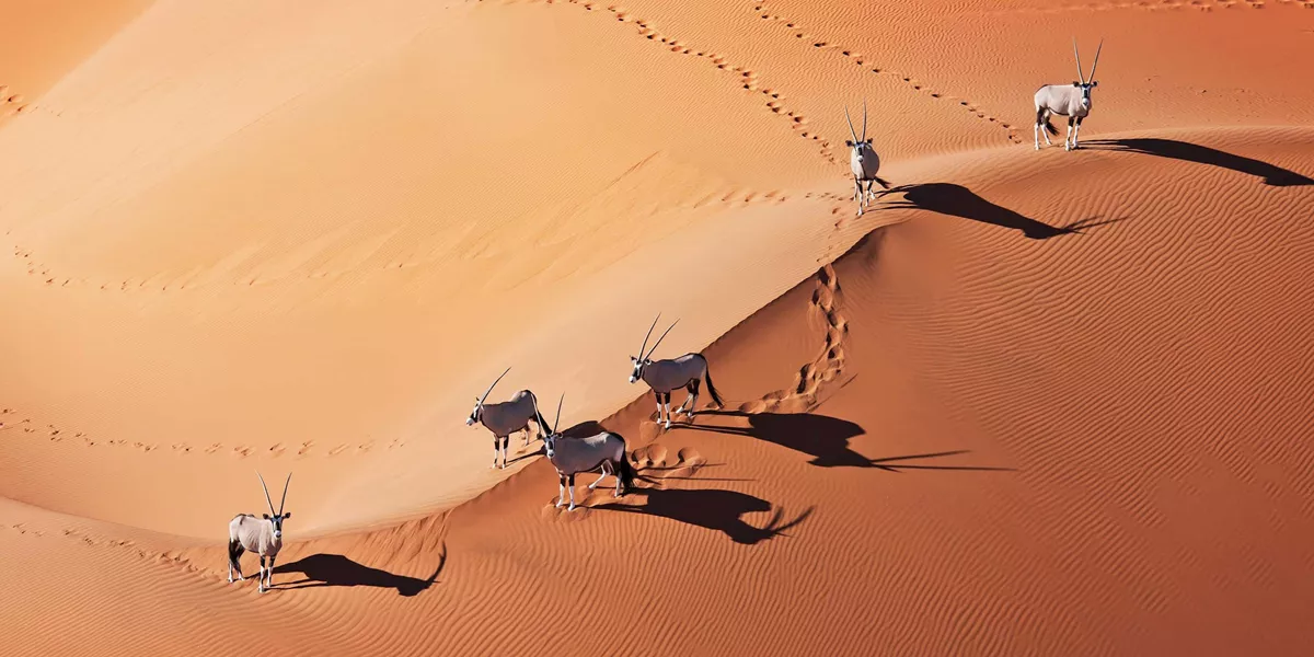 Namibia Adventure Guided Tour