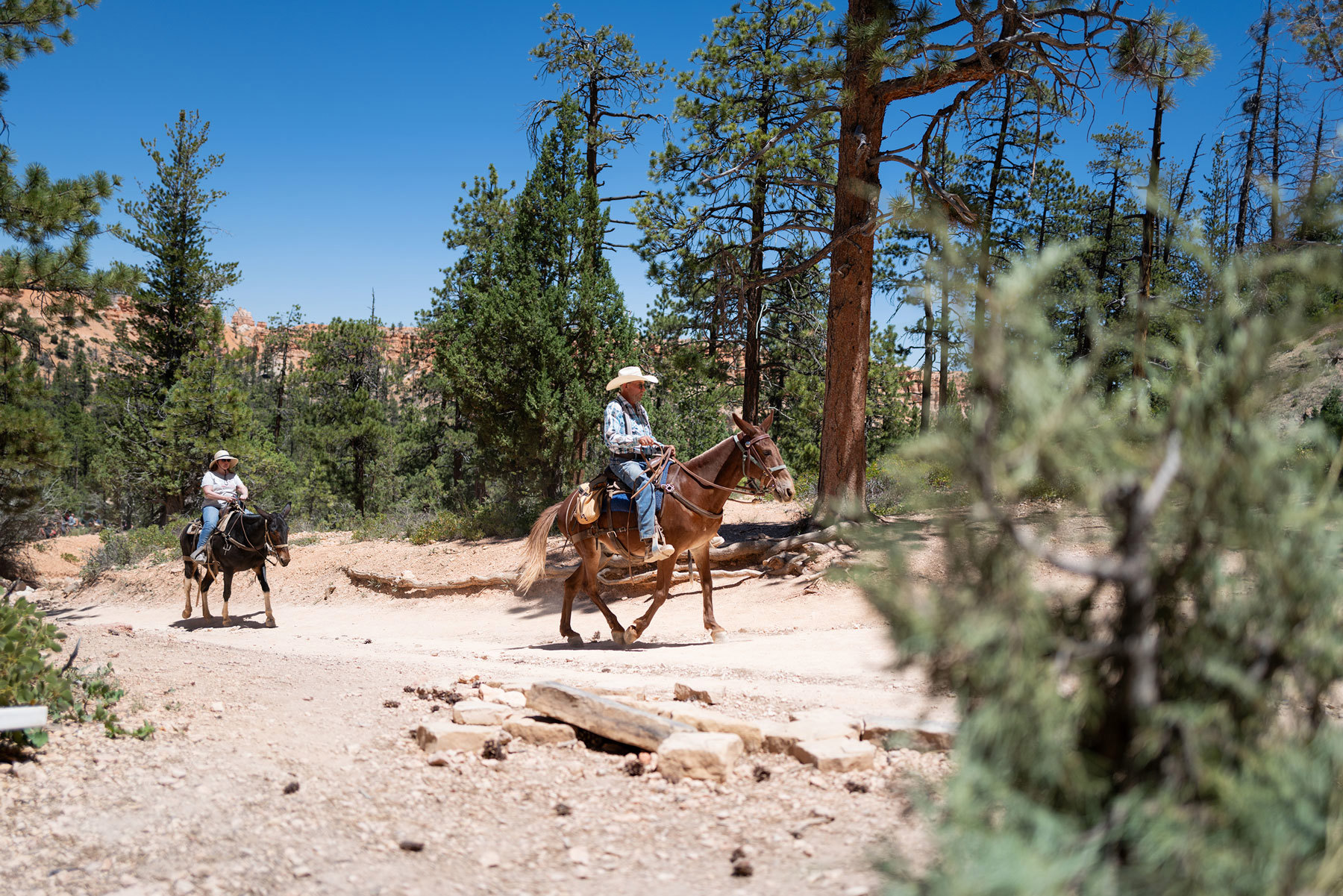 Two horseback riders in Bryce Canyon National Park, Utah, USA