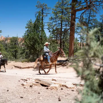 horseback-riding-bryce-canyon-national-park-utah-usa.jpg