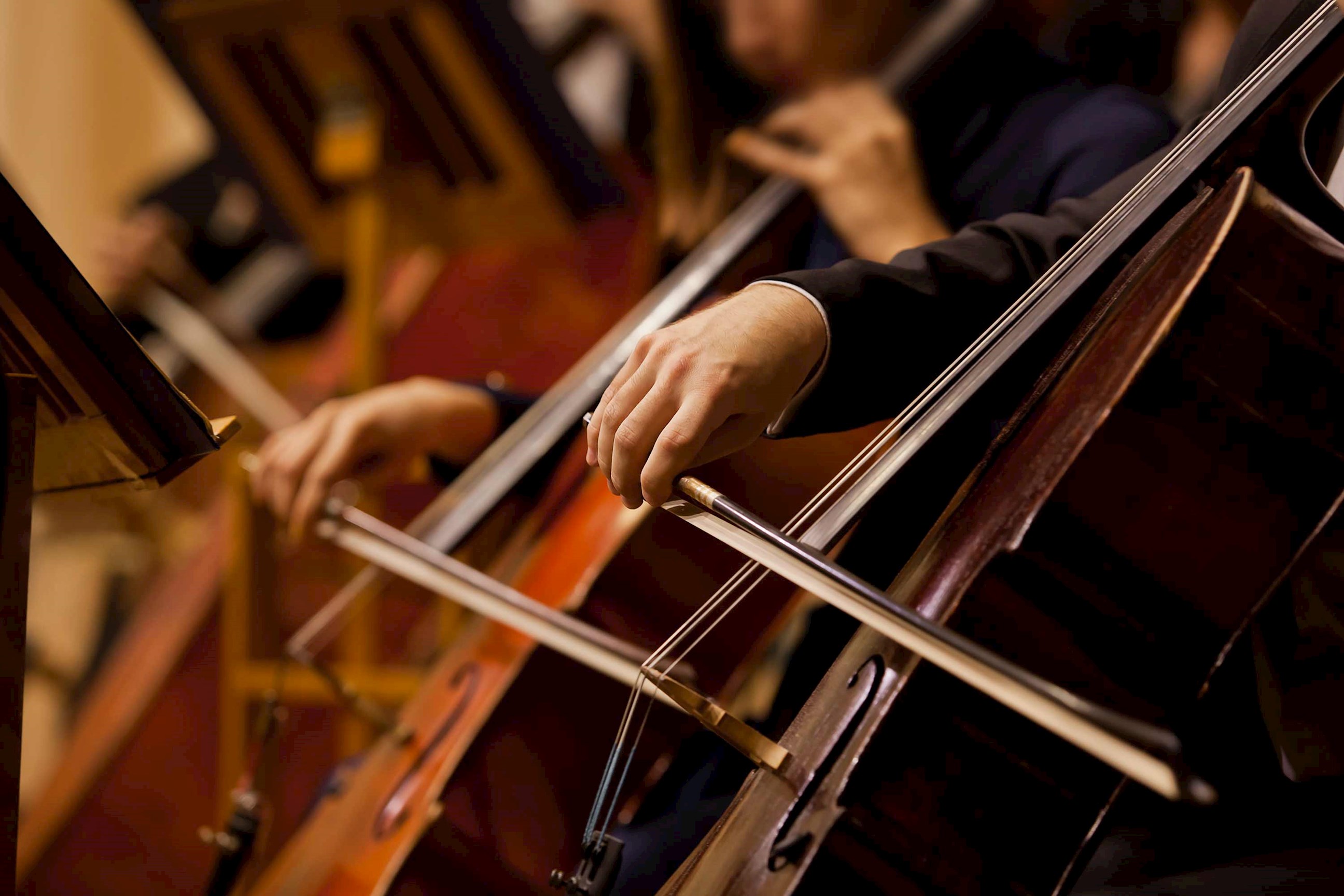dinner-viennese-concert-vienna-austria.jpg