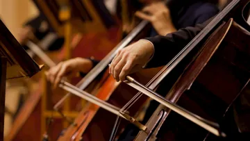 dinner-viennese-concert-vienna-austria.jpg